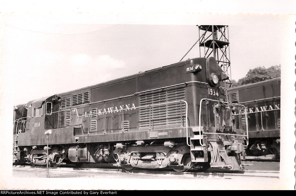 ヘレナモルフォ　141mm MILE_stone_Loft_Ivory_6x36_Roo